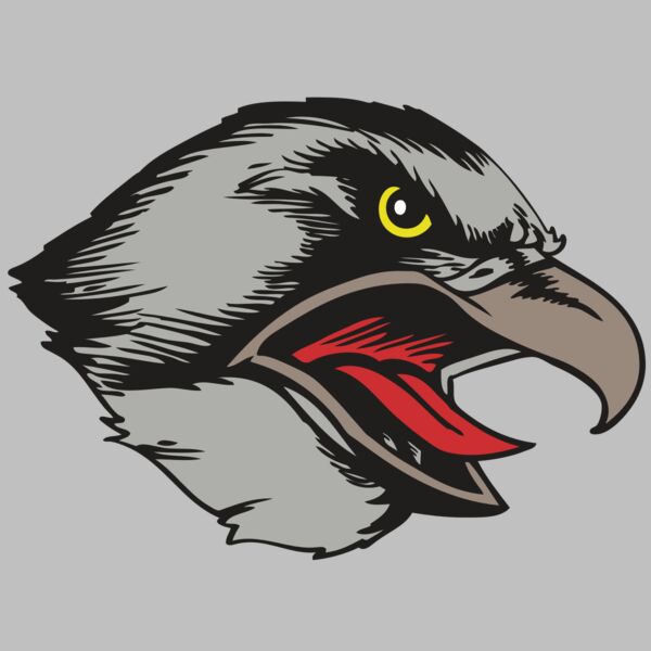 BAW HWK FLCN 13 RC Thumbnail