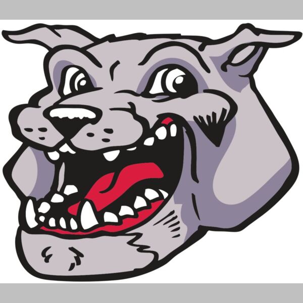 AR BDOG 24 RC Thumbnail