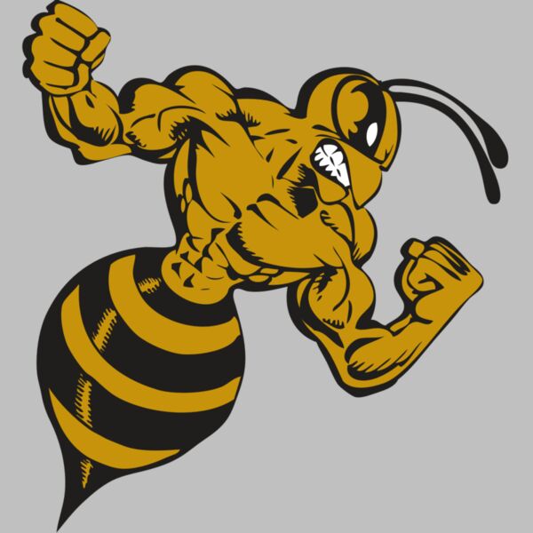 BAW BEE 01 RC Thumbnail