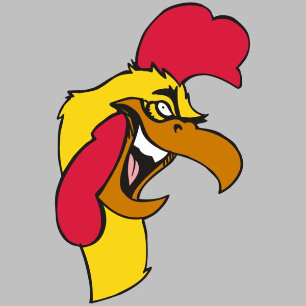 AR5 Gamecock 08 RQC Thumbnail