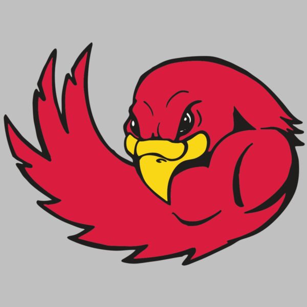 AR FALCON 18 RC Thumbnail