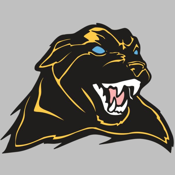 AR COUGAR 42 RC Thumbnail