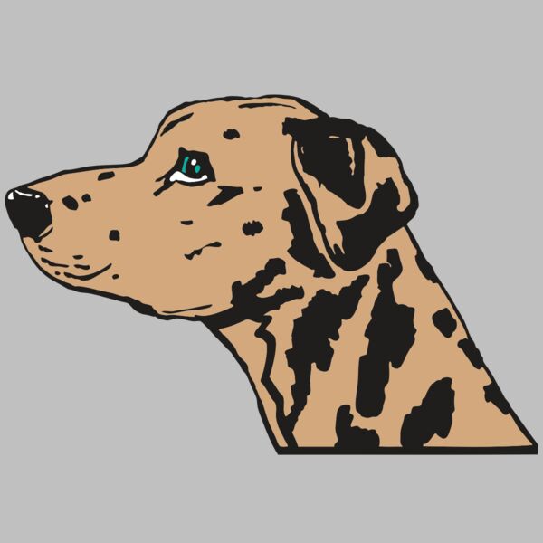 AR2 OTHER 03 RQC Thumbnail