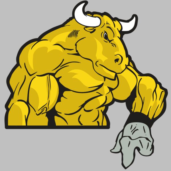 AR BULL 13 RC Thumbnail