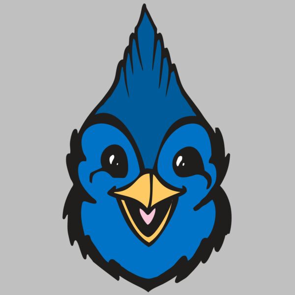 BAW BLUEJAY 19 RC Thumbnail