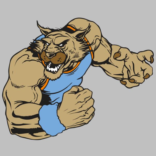 AR WILDCAT 46 RC Thumbnail