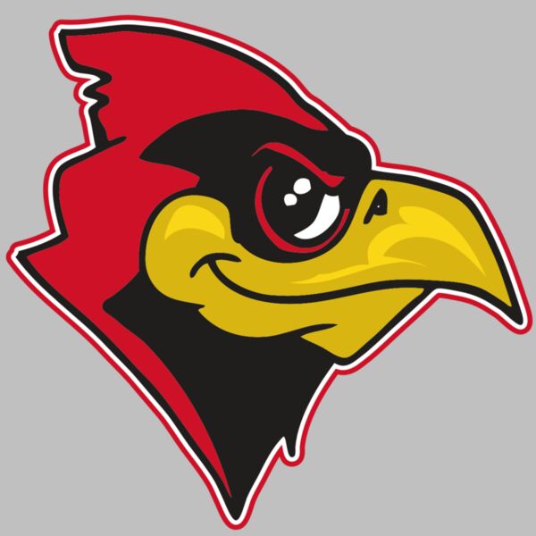 AR CARDINAL 38 RC Thumbnail