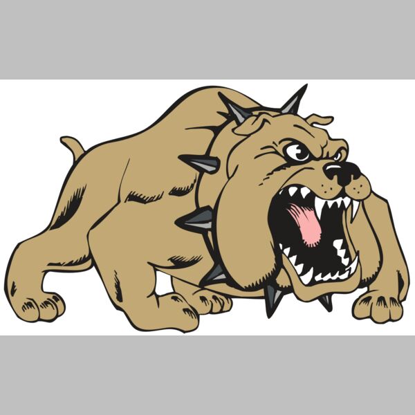 BAW BULLDOG 01 RC Thumbnail