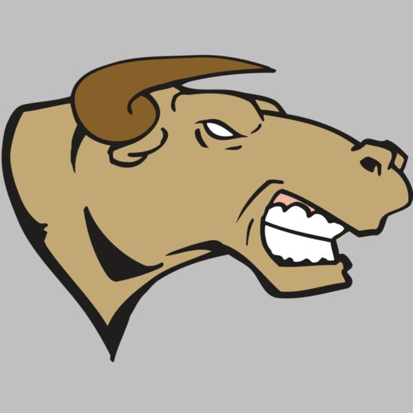 AR BULL 30 RC Thumbnail