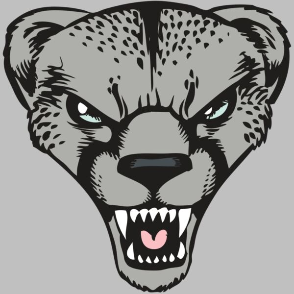 BAW CHEETAH 15 RC Thumbnail