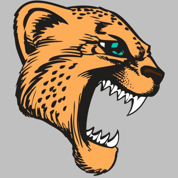 BAW CHEETAH 11 RC Thumbnail