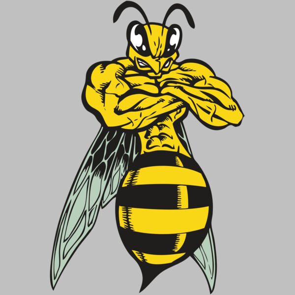 BAW BEE 16 RC Thumbnail