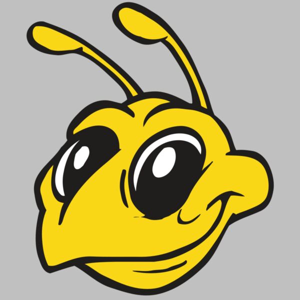 AR BEE 28 RC Thumbnail