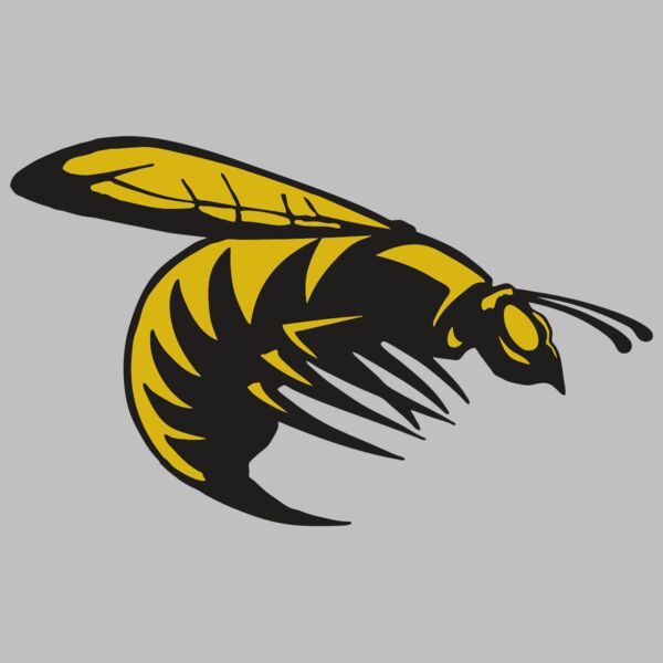 AR BEE 49 RC Thumbnail