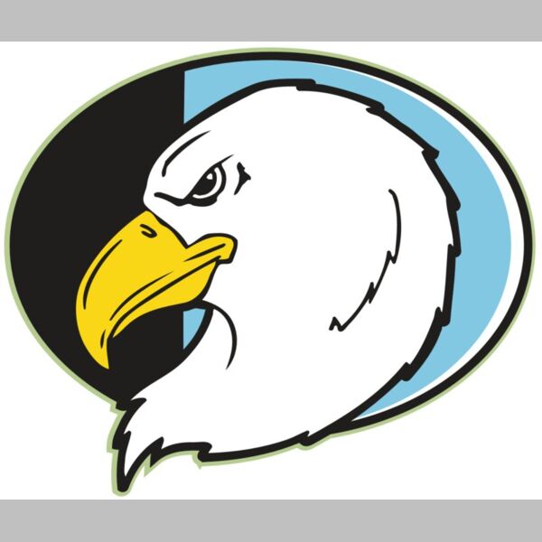 AR EAGLE 55 RC Thumbnail