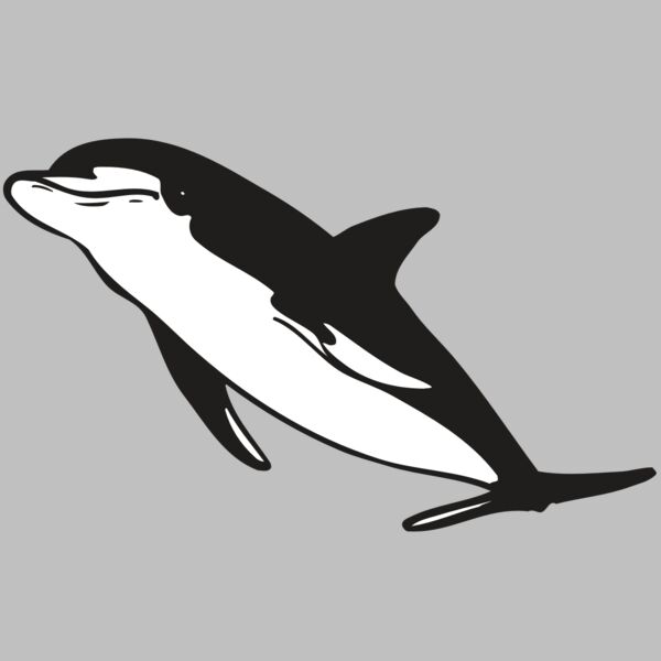 AR DOLPIN 13 RC Thumbnail