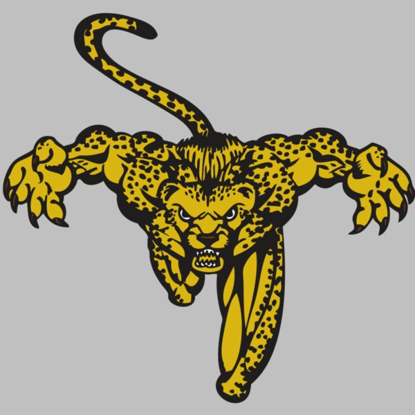 BAW CHEETAH 08 RC Thumbnail