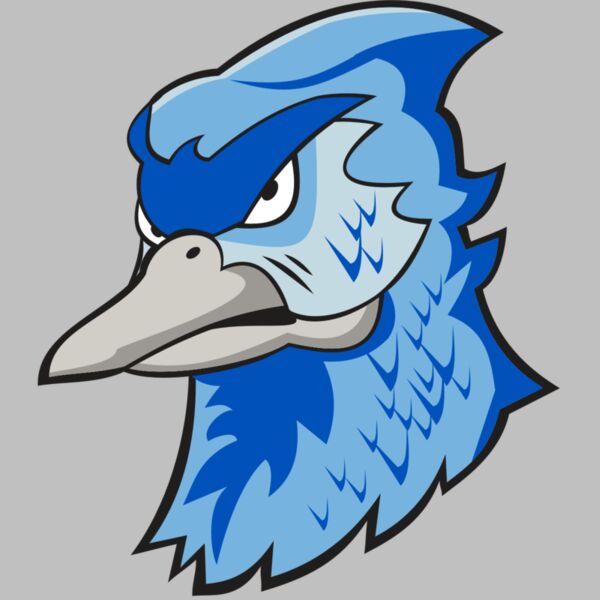 BLUEJAY HD0501 RQC Thumbnail