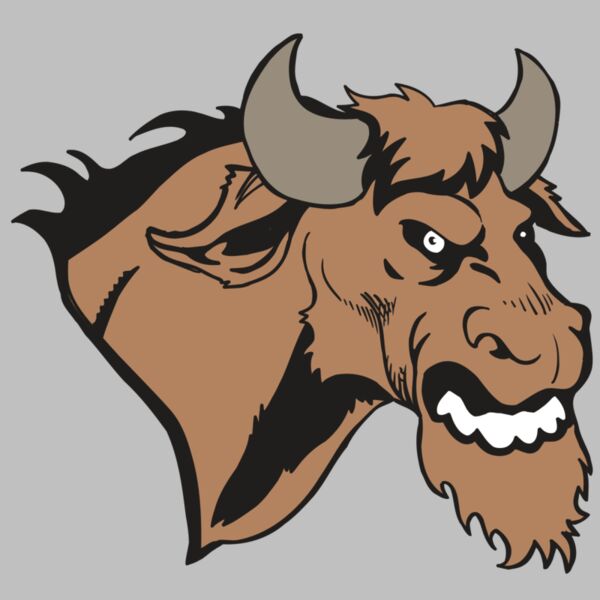 AR5 BULL 09 RQC Thumbnail