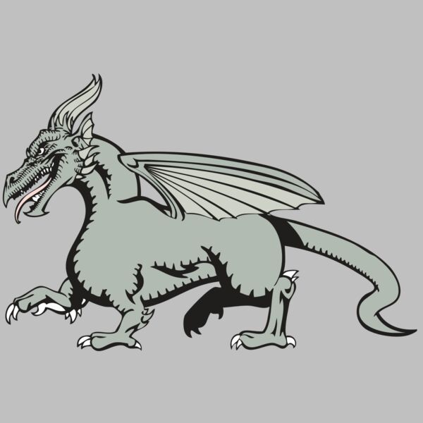 BAW DRAGON 20 RC Thumbnail