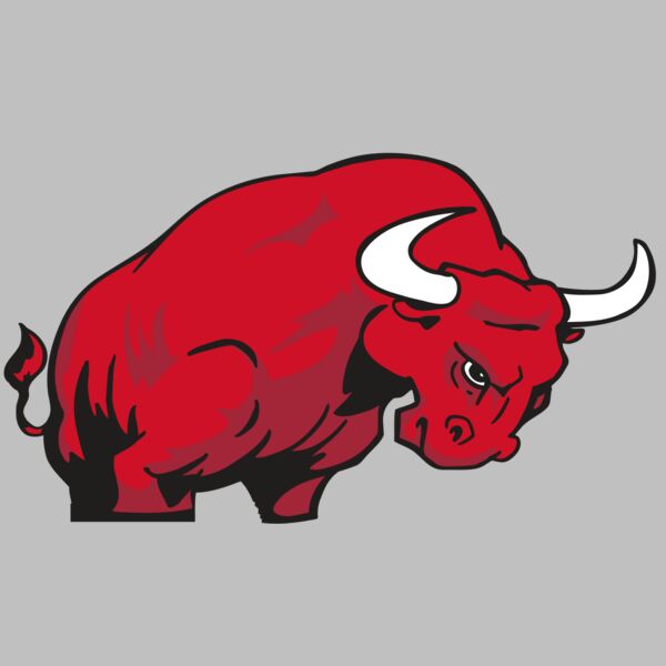 AR BULL 12 RC Thumbnail