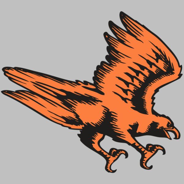 BAW HWK FLCN 04 RC Thumbnail