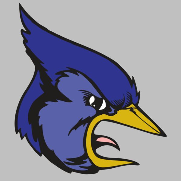 BAW BLUEJAY 04 RC Thumbnail