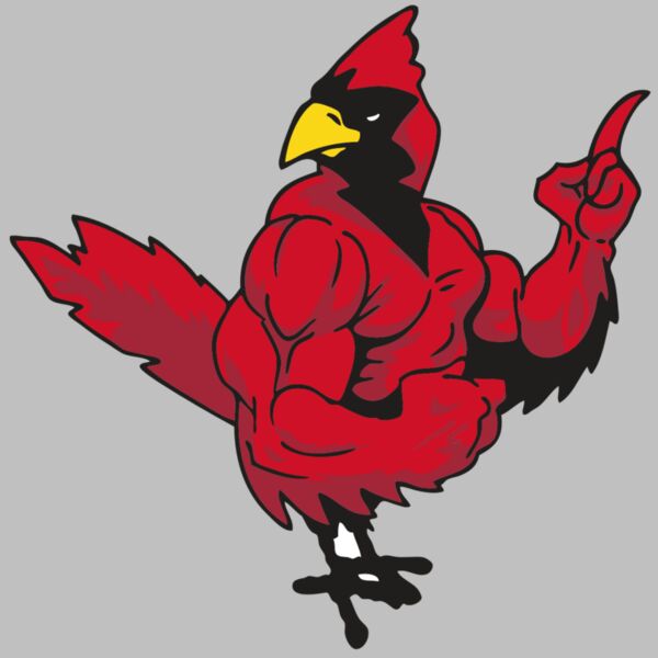 AR CARDINAL 27 RC Thumbnail