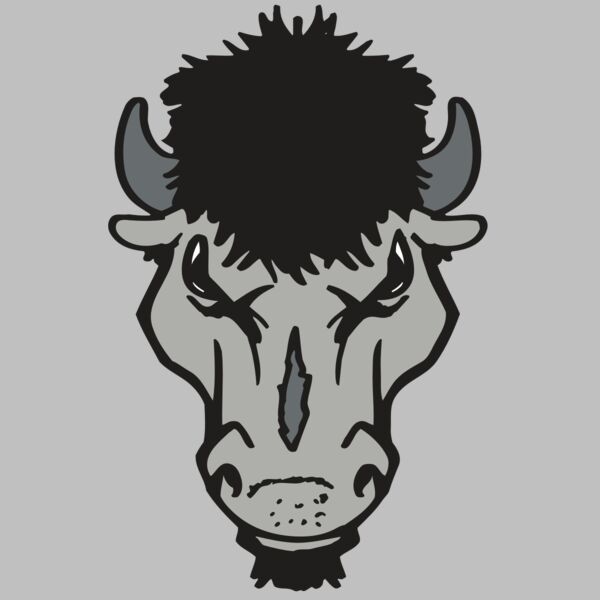 AR BUFFALO 15 RC Thumbnail