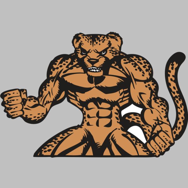 BAW CHEETAH 07 RC Thumbnail