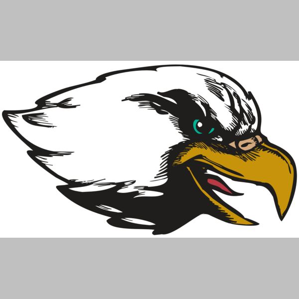 BAW EAG 09 RC Thumbnail