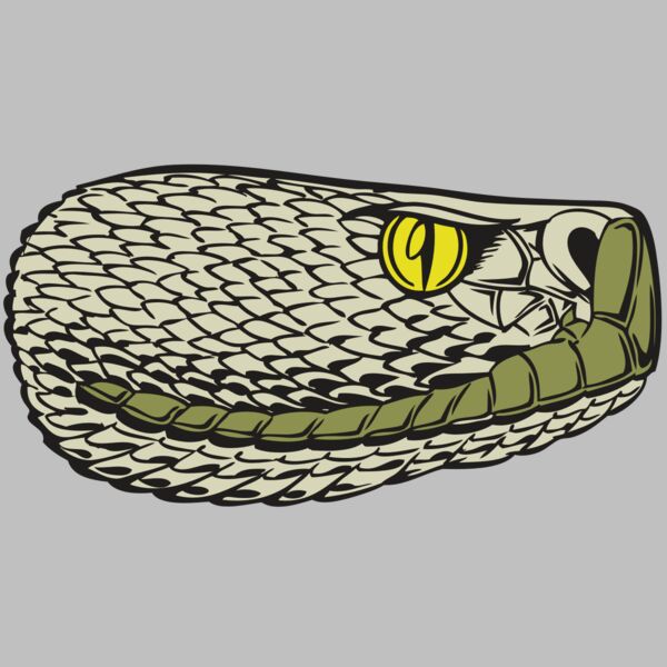 BAW SNAKE 03 RC Thumbnail