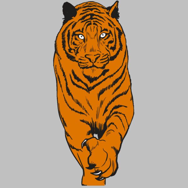 AR4 TIGER 08 RQC Thumbnail