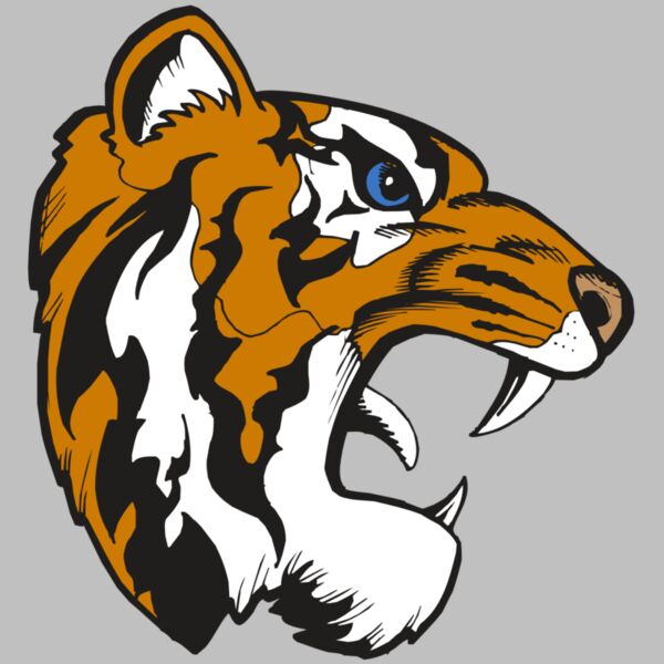 BAW TIGER 08 RC Thumbnail