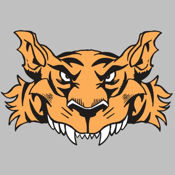 AR5 Tiger 07 RQC Thumbnail