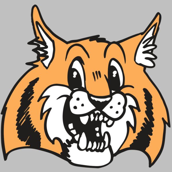 AR WILDCAT 13 RC Thumbnail