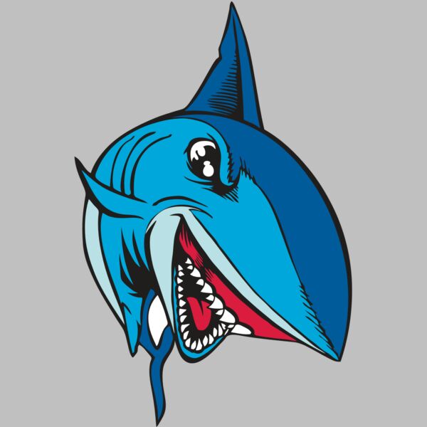 BAW SHARK 02 RC Thumbnail