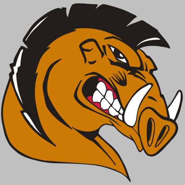 AR RAZORBACK 19 RC Thumbnail