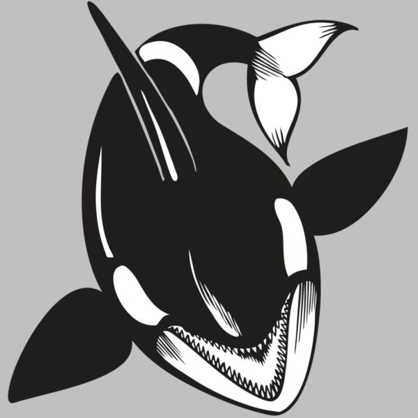 BAW KLRWHALE 01 RC Thumbnail