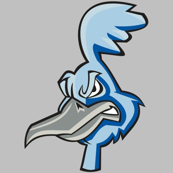 ROADRUNNER HD0501 RQC Thumbnail