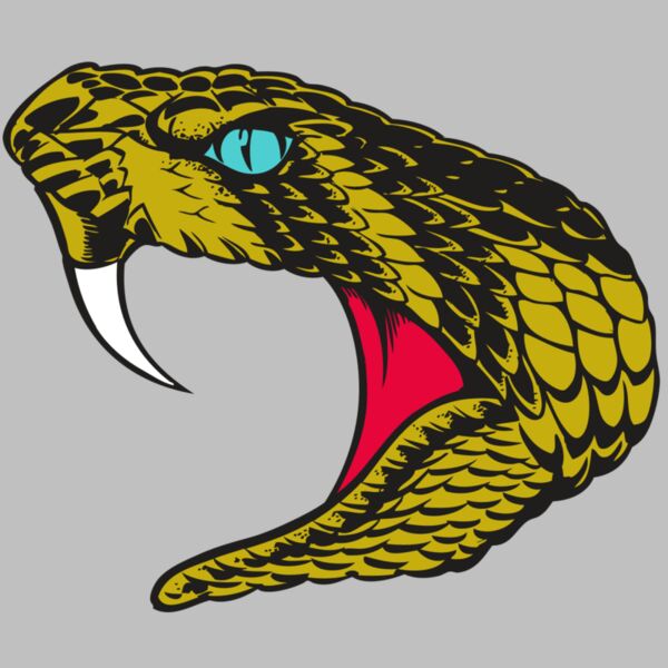 BAW SNAKE 16 RC Thumbnail