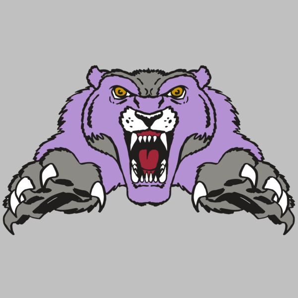 AR WOLVERINE 17 RC Thumbnail