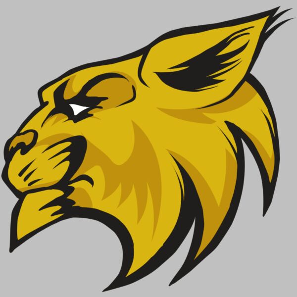 AR30 WILDCAT 02 RQC Thumbnail