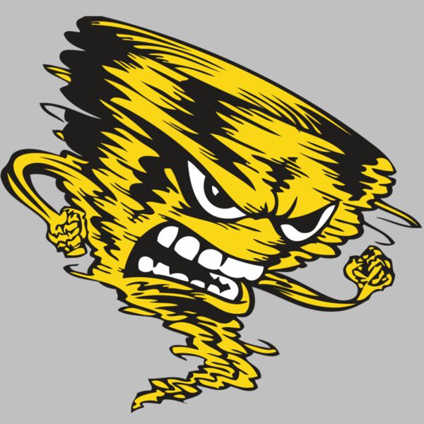 BAW STORM 08 RC Thumbnail