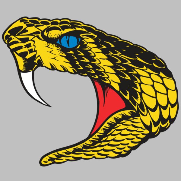 BAW SNAKE 06 RC Thumbnail