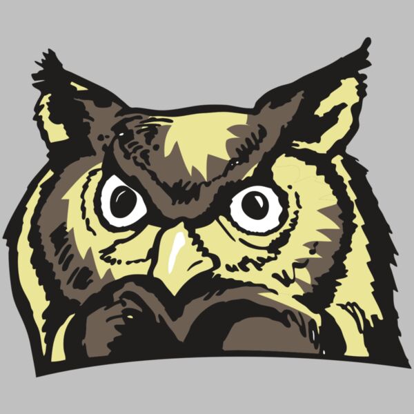 AR OWL 10 RC Thumbnail