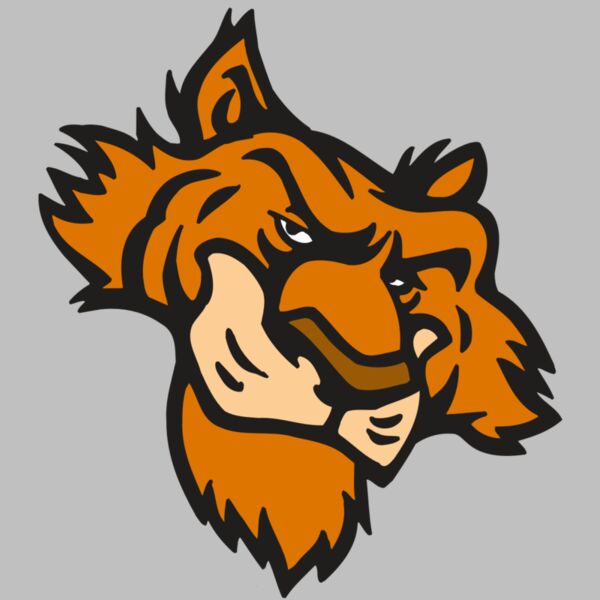 AR5 Tiger 16 RQC Thumbnail