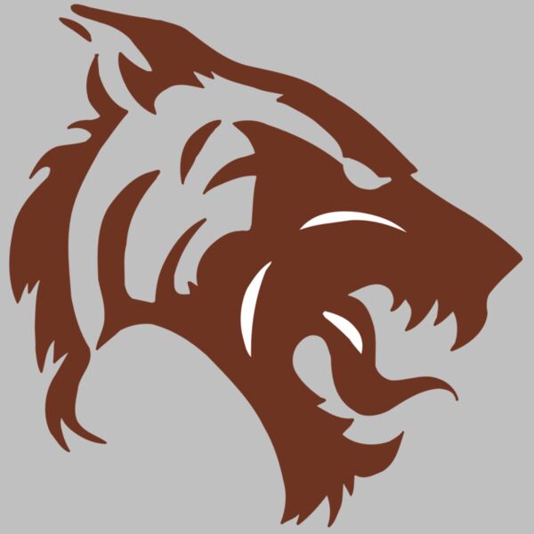 AR5 TIGER 06 RQC Thumbnail