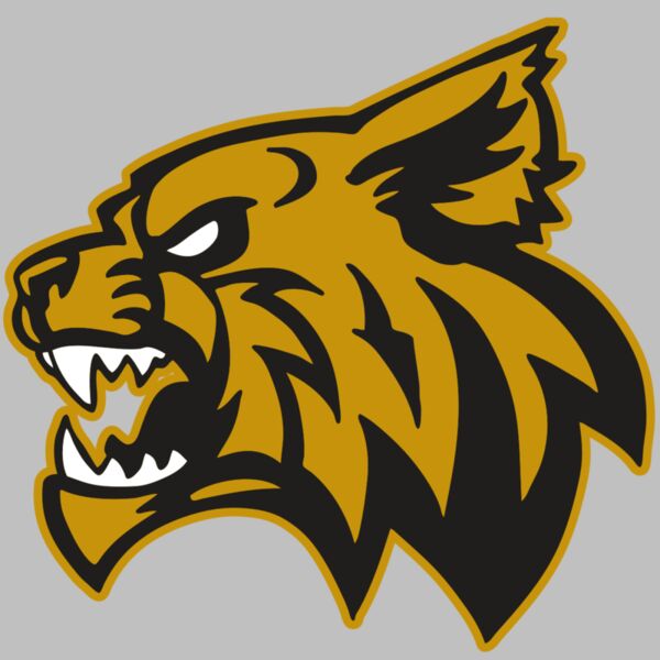 AR WILDCAT 16 RC Thumbnail