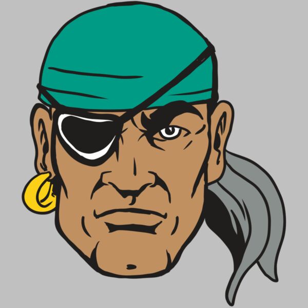 AR19 PIRATE 03 RQC Thumbnail